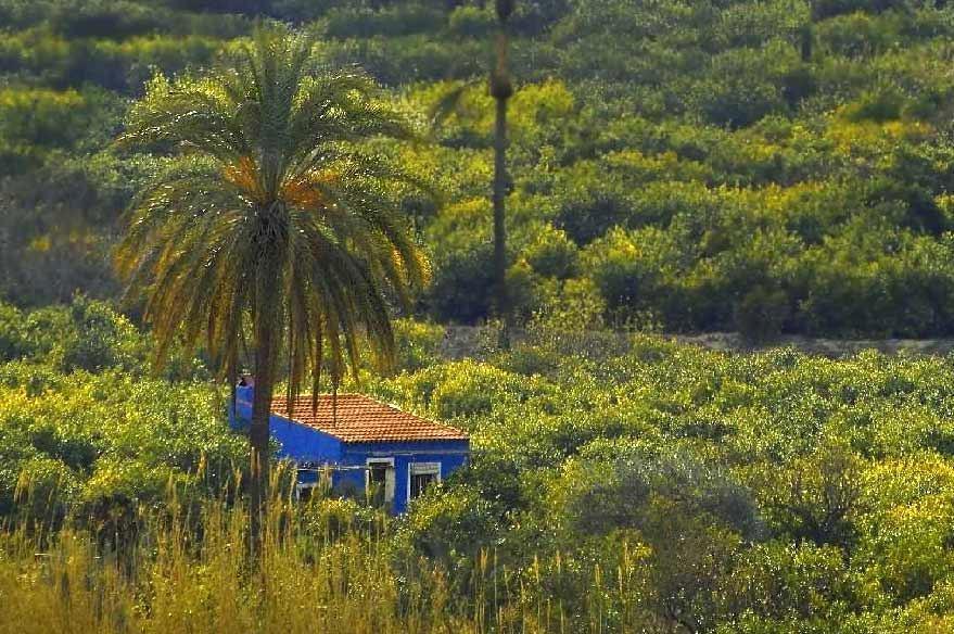 Sol Mediterraneo Арчена Екстер'єр фото