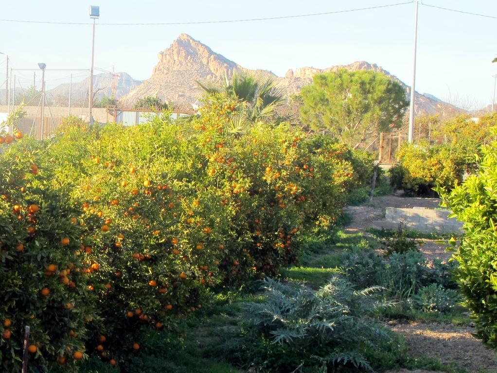 Sol Mediterraneo Арчена Екстер'єр фото